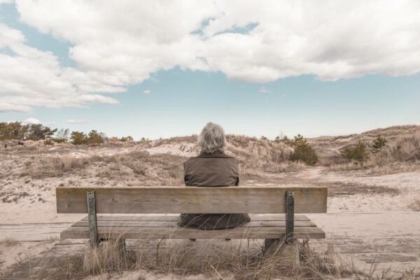 Bench in the field - Image 2