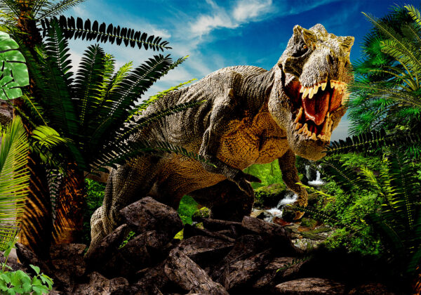 Fotótapéta - Angry Tyrannosaur - Image 2